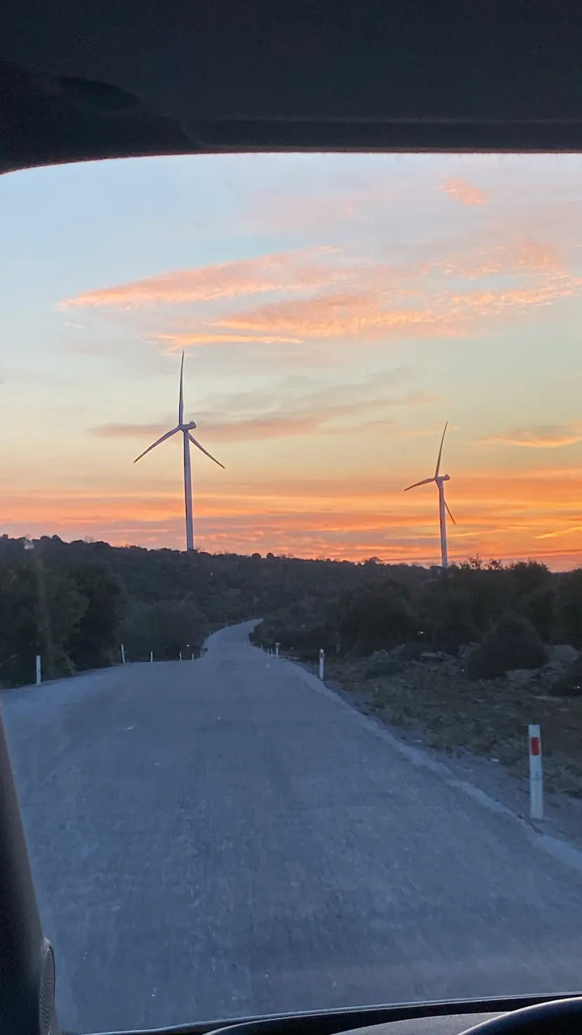 Araç camından görünen saha yolu ve ufuktaki iki türbin